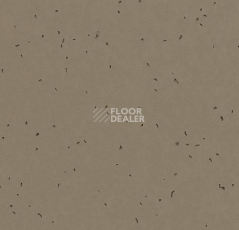 Линолеум Forbo Sphera Energetic 50206 bark фото 1 | FLOORDEALER